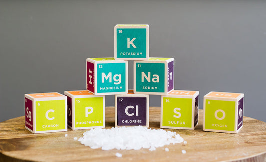 More Salt? Less Salt?